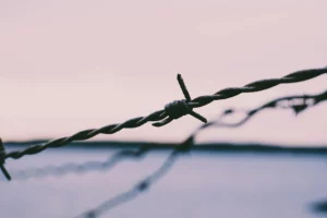 barbelé de sécurité