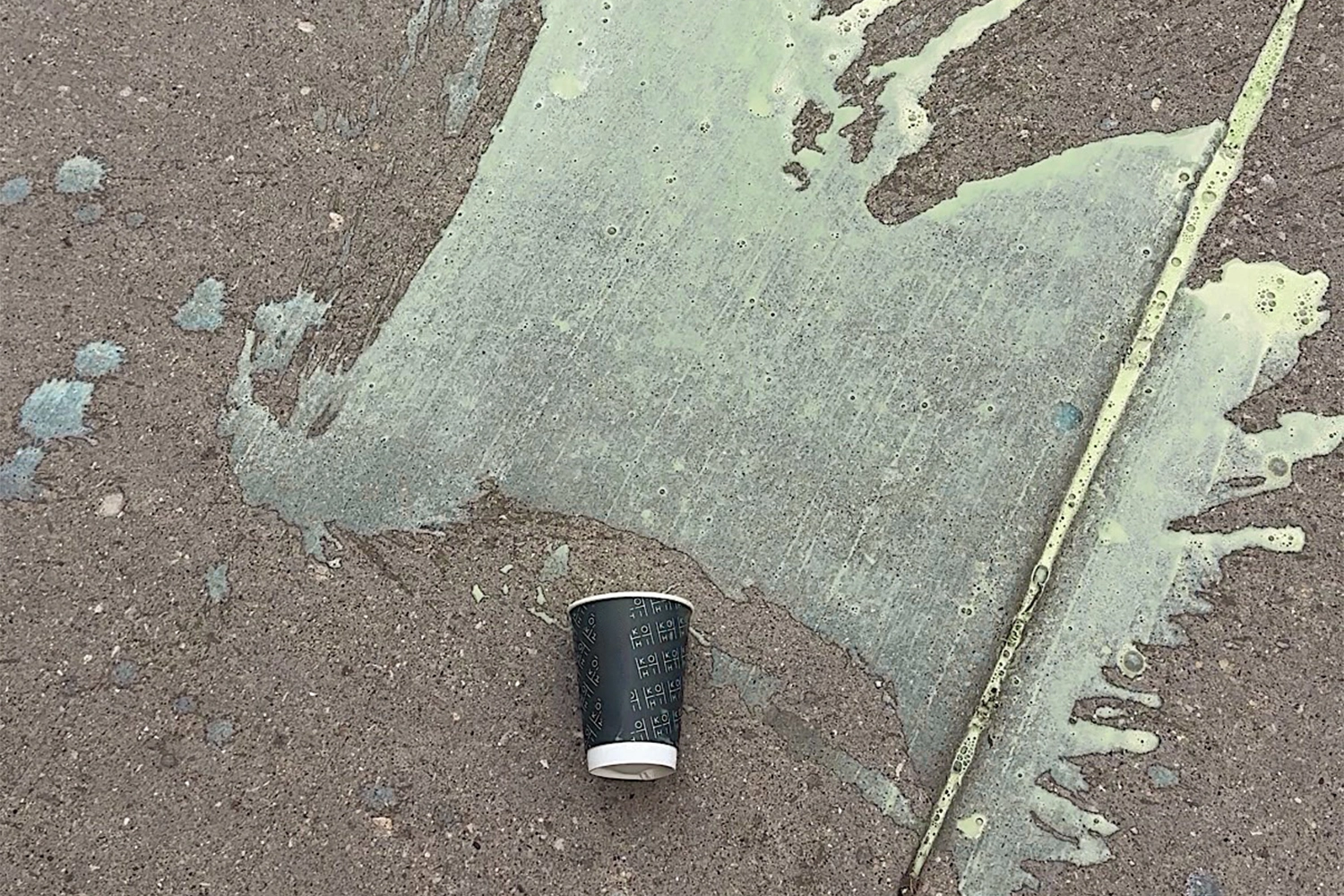 audit ecosystème